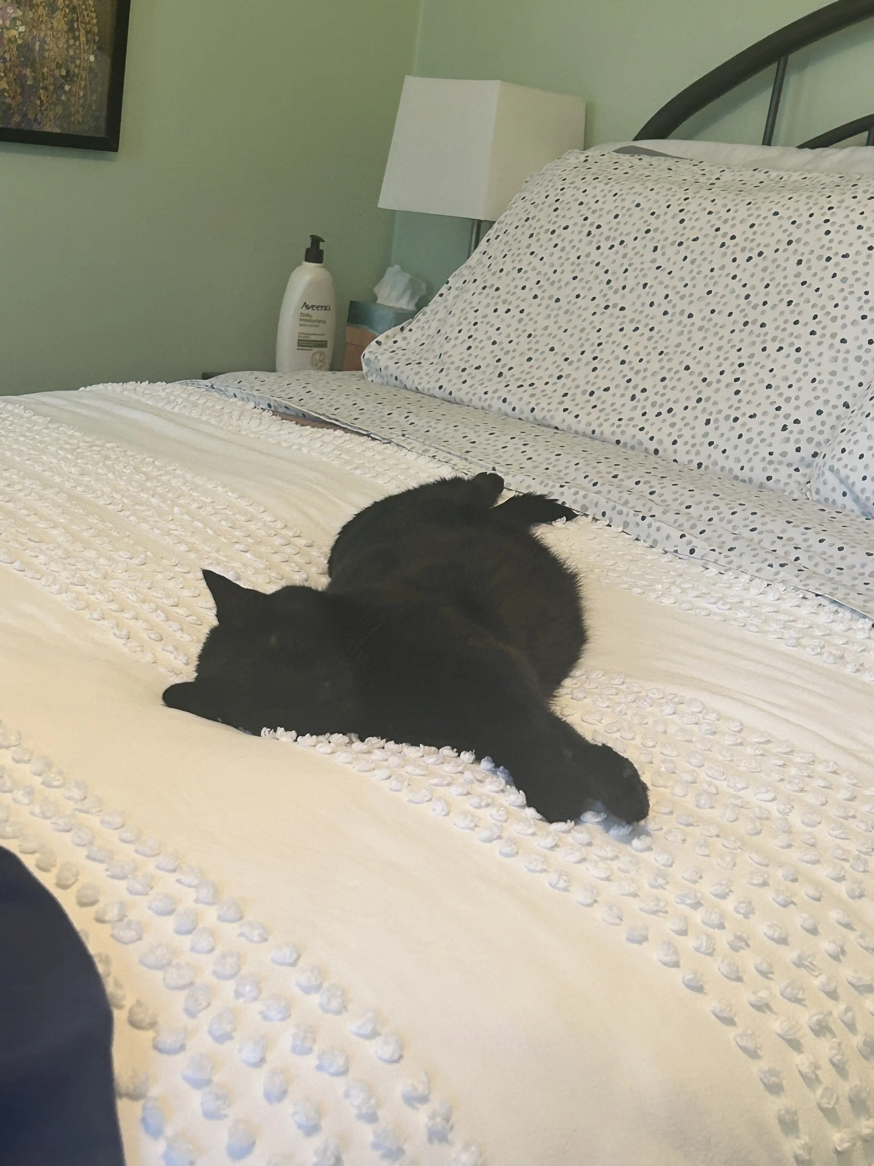 A black cat lounging on a white bedspread, happy and comfy at home