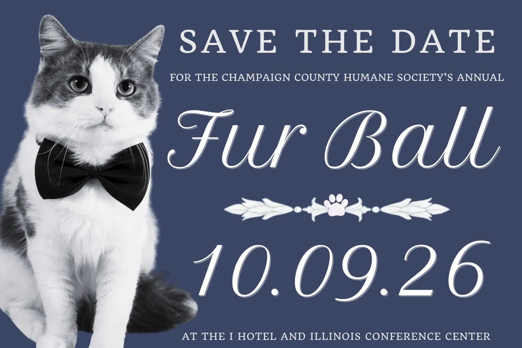 Black and white photo of a cat in a bow tie. Text reads: Save the Date for the Champaign County Humane Society's Annual Fur Ball. 10/09/26.